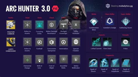 Arc 3.0 Hunter Builds